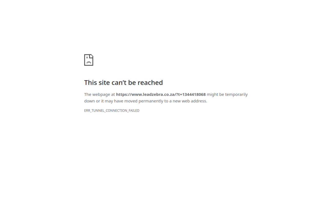 LeadZebra website preview